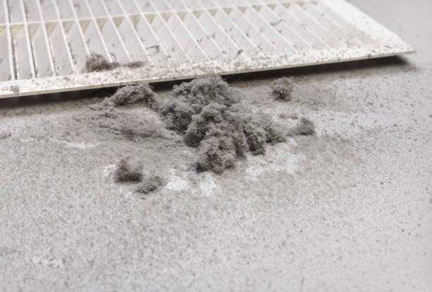 Air Duct Mold Removal in Ceredo, WV