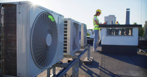 Best Air Duct Mold Removal  in Ceredo, WV